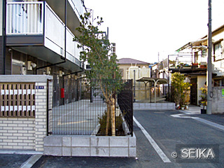 外観